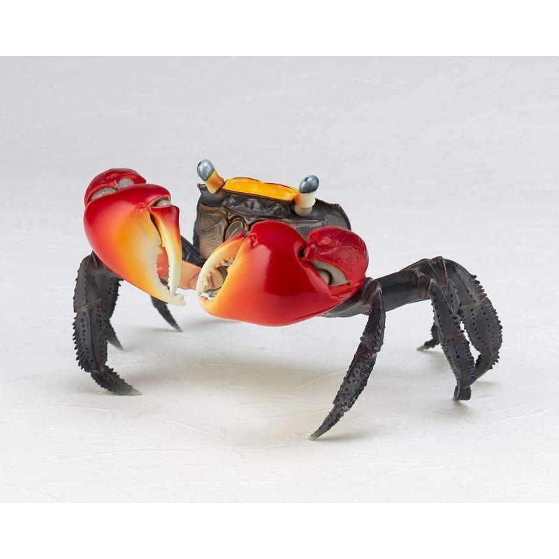 リボジオ アカテガニ 全幅約140mm Pvc Abs製 塗装済み 可動フィギュア 海洋堂 Kaiyodo Rg002 えるみストア 通販 Yahoo ショッピング