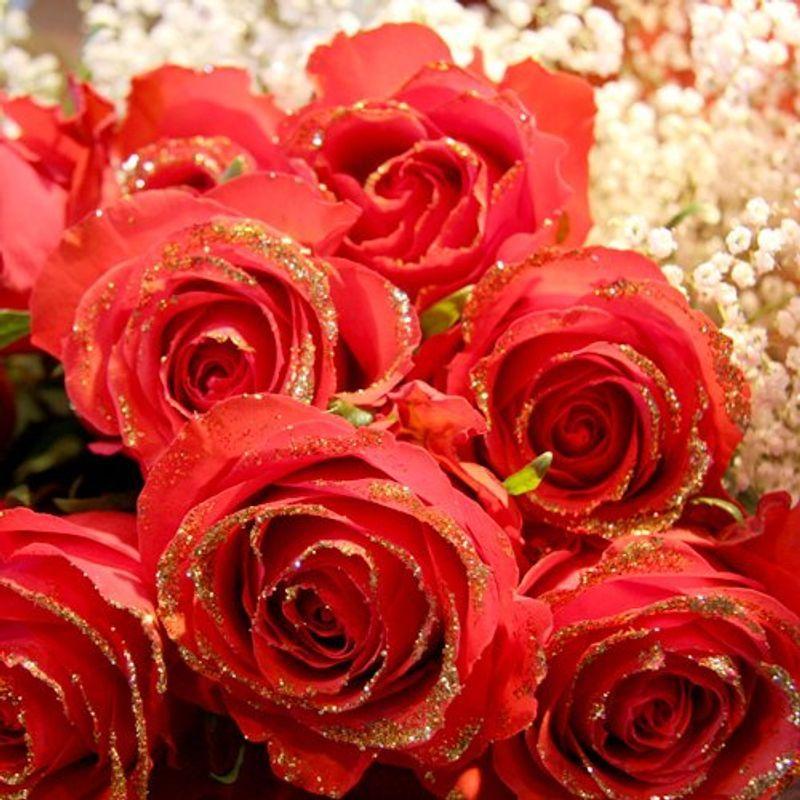 ゴールドラメ付き赤薔薇 えるみストアのゴールドラメ付き赤薔薇 60本の花束 キラキラ白いかすみ草付 レッドローズ 赤バラ 赤バラ 赤いばらをお誕生日 60本の花束 キラキラ白いかすみ草付 レッドローズ 還暦のお祝いに えるみストア