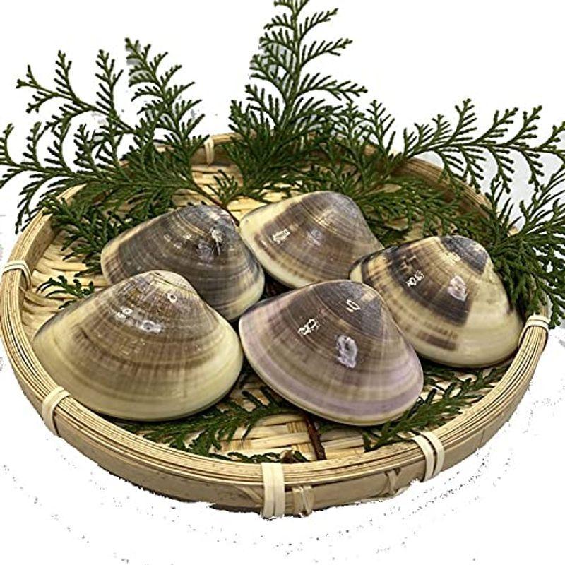 えるみストア冷凍 はまぐり 大サイズ 国産 10 15個 1ｋｇ分 冷凍はまぐり