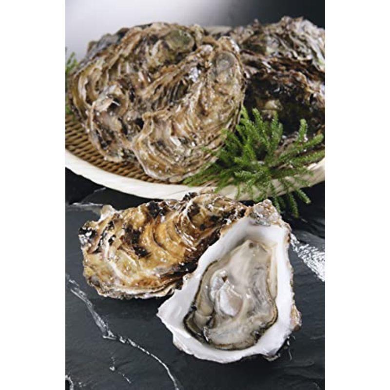 北海道仙鳳趾産 殻付牡蠣中 個 ギフト