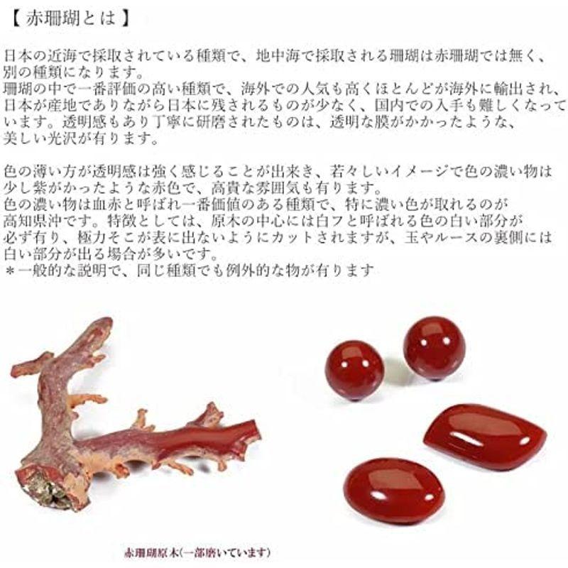 血赤珊瑚 ブローチ シルバー 無染色 SANSUI レディースアクセサリー