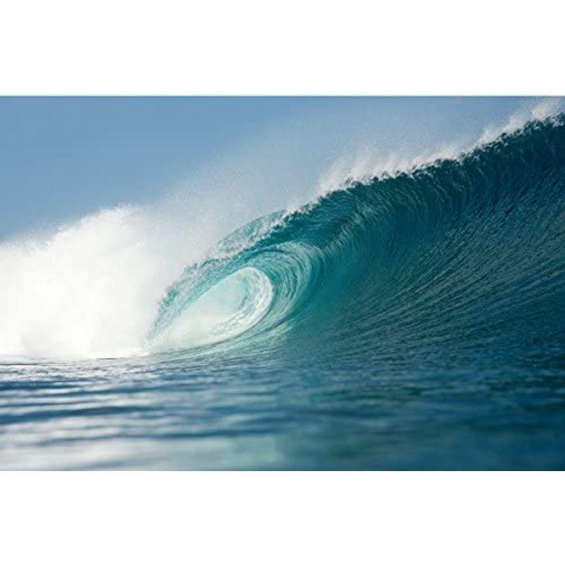 HEAVEN SKATEBOARD SPIN WAVE44インチ ヘブン スケートボード スピンウェイブ44 ロングスケートボード ダンシン スポーツ ストリート系スポーツ JS1665285181(16158円)