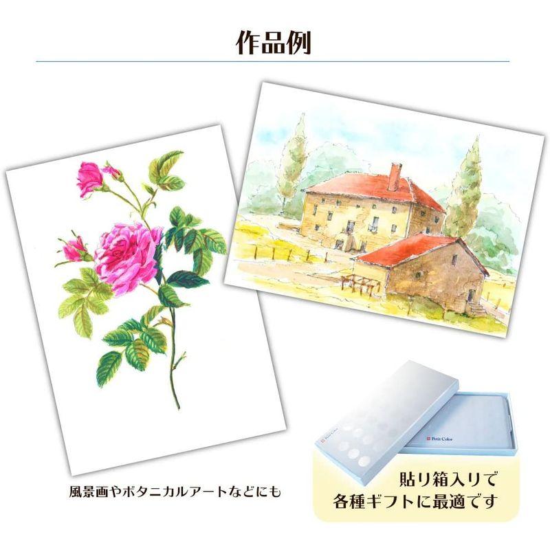 驚きの値段 サクラクレパス 絵の具 固形水彩 プチカラー 60色 オリジナル筆入り Ncw 60 アクリル絵具 Alice Com Ve