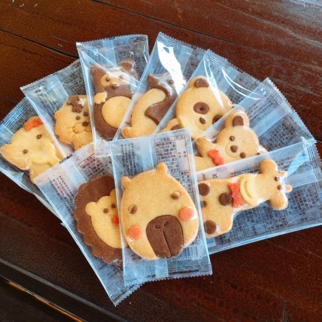 動物クッキー ズーショップ エルザ 通販 Yahoo ショッピング