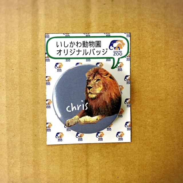 缶バッジ44mm : ズーショップ エルザ - 通販 - Yahoo!ショッピング