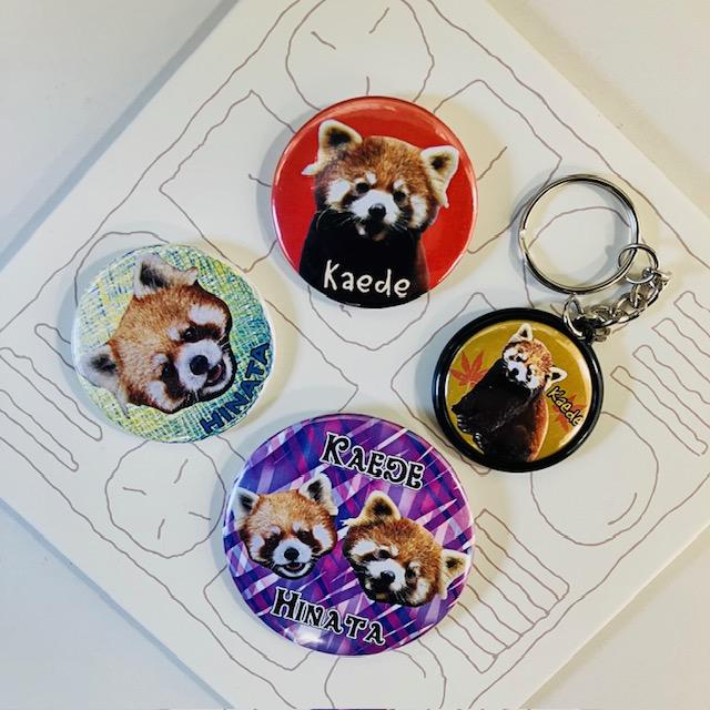 レッサーパンダ缶バッジセット : ズーショップ エルザ - 通販 - Yahoo