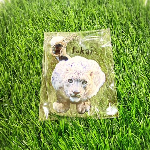 アクリルキーホルダー : ズーショップ エルザ - 通販 - Yahoo