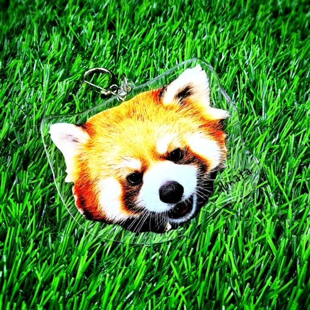 エルザ アクキー アクリルキーホルダー : ズーショップ エルザ - 通販 - Yahoo