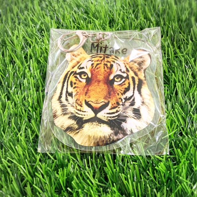 エルザ アクキー アクリルキーホルダー : ズーショップ エルザ - 通販 - Yahoo