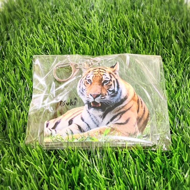 アクリルキーホルダー : ズーショップ エルザ - 通販 - Yahoo