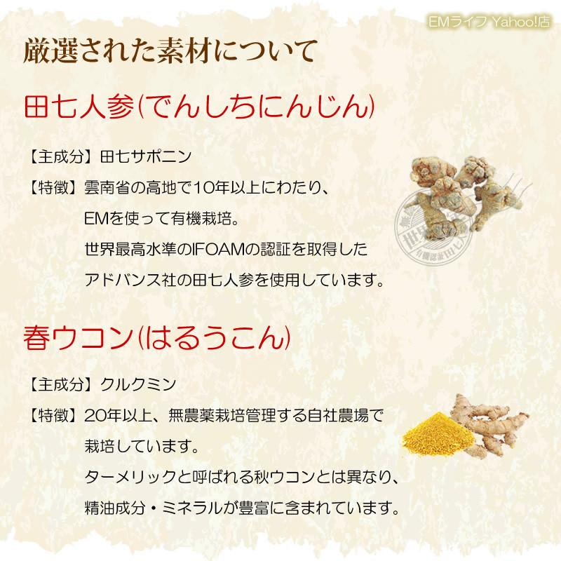 天地開闢 エムザイム 500ml ×2本セット em発酵飲料 em菌 有用微生物 