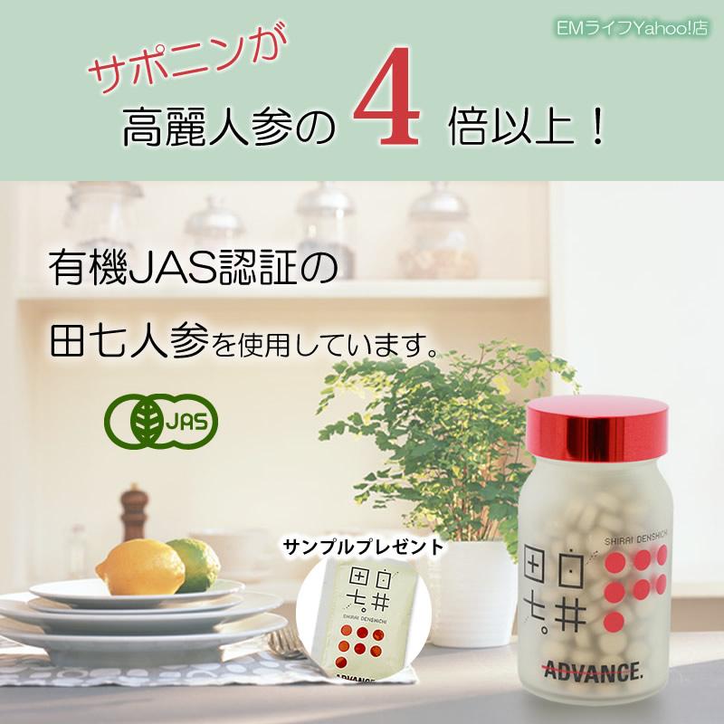 白井田七 240粒 サンプル付き | 田七人参 有機田七 サプリメント 