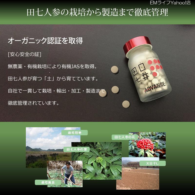 白井田七 240粒 サンプル付き | 田七人参 有機田七 サプリメント 健康