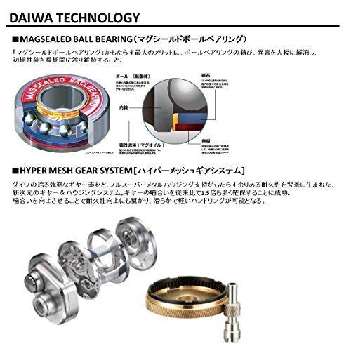 格安販売の ベイトリール ダイワ Daiwa ダイワ Daiwa 18 18モデル 1016h Ryoga リールパーツ Www Dreamhousestudios Co