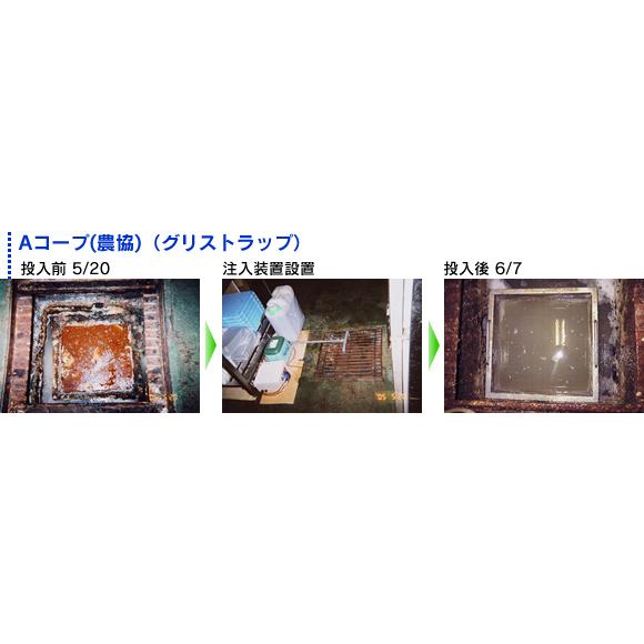 新 エコグリス K ２０リットル 厨房消臭タイプ グリストラップの油脂分解 配管つまり対策_5