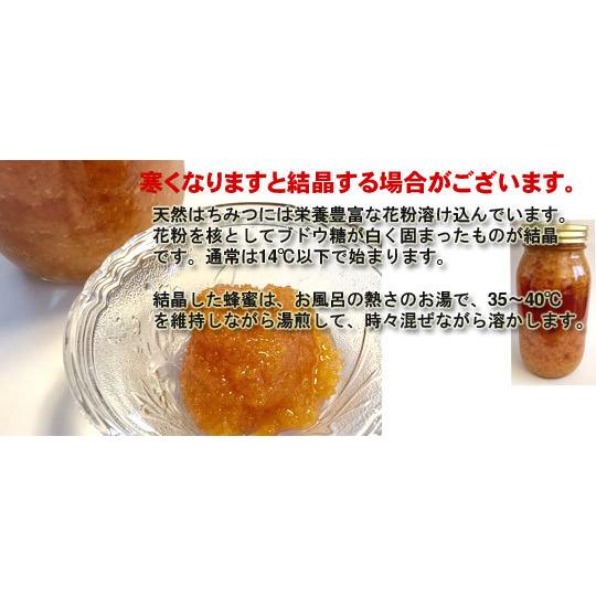 日本ミツバチ 幻の蜂蜜  百花蜜 非加熱 お中元 はちみつ1000g 百花蜂蜜 国産 純粋 無添加 生 遠心分離機を使わず 四国徳島県産 阿波百花 送料無料 敬老の日｜em-wear｜10