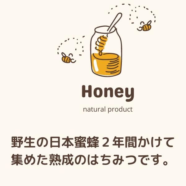 日本ミツバチ 450g 国産 純粋 はちみつ 幻の蜂蜜 百花蜜 非加熱 無添加 生 四国徳島県産 送料無料 阿波蜂蜜｜em-wear｜03