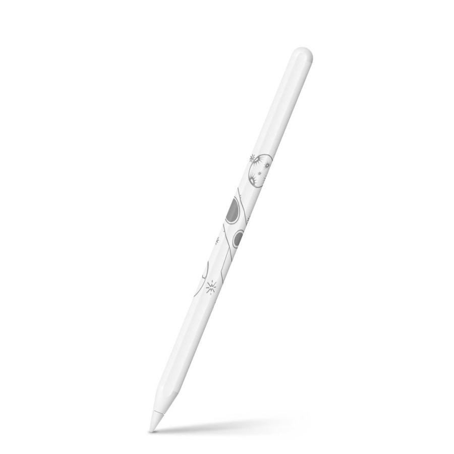 Apple Pencil 第2世代 専用スキンシール アップル アップルペンシル