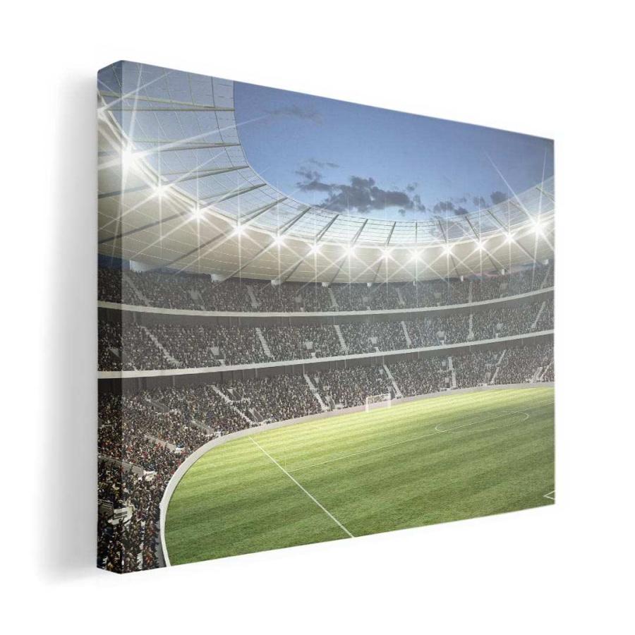 アートパネル 絵 絵画 飾り 選べるサイズ A1 A3 A5 6つ切り 正方形33 正方形45 スポーツ フィールド スタジアム サッカー Artpanel Ap E Mart 通販 Yahoo ショッピング