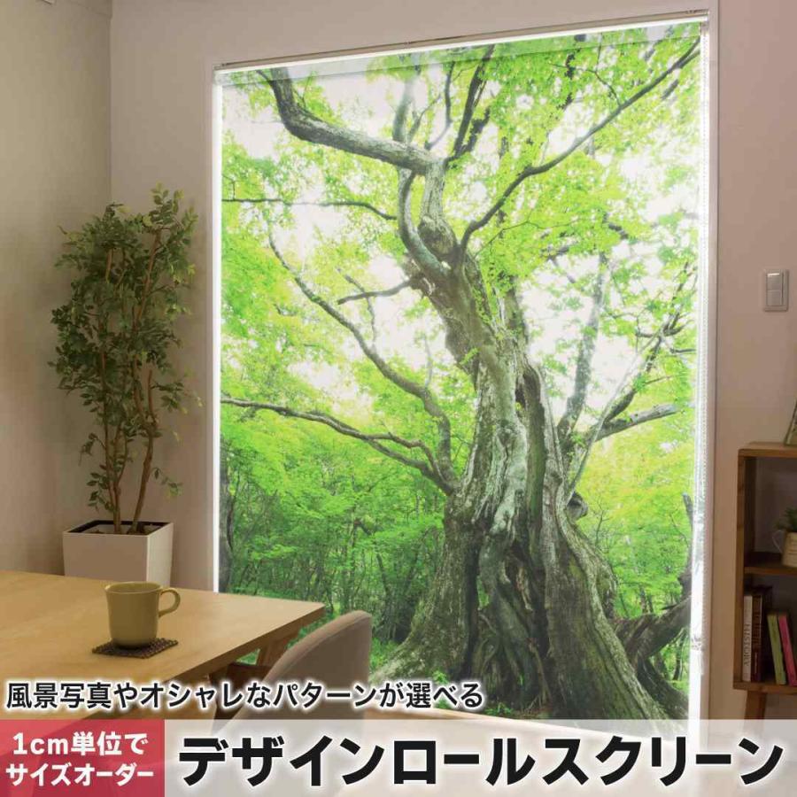 ロールスクリーン ロールカーテン オーダーメイド デザイン 005452