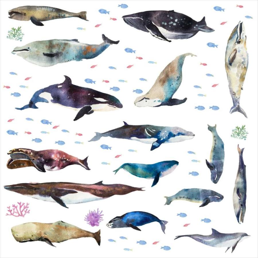 海の生物 シール式ウォールステッカー 魚 Fish Sea クジラ くじら イルカ いるか シャチ 飾り 60 60cm シール式 装飾 おしゃれ 壁紙 Wall Sticker Wsm Ws E Mart 通販 Yahoo ショッピング