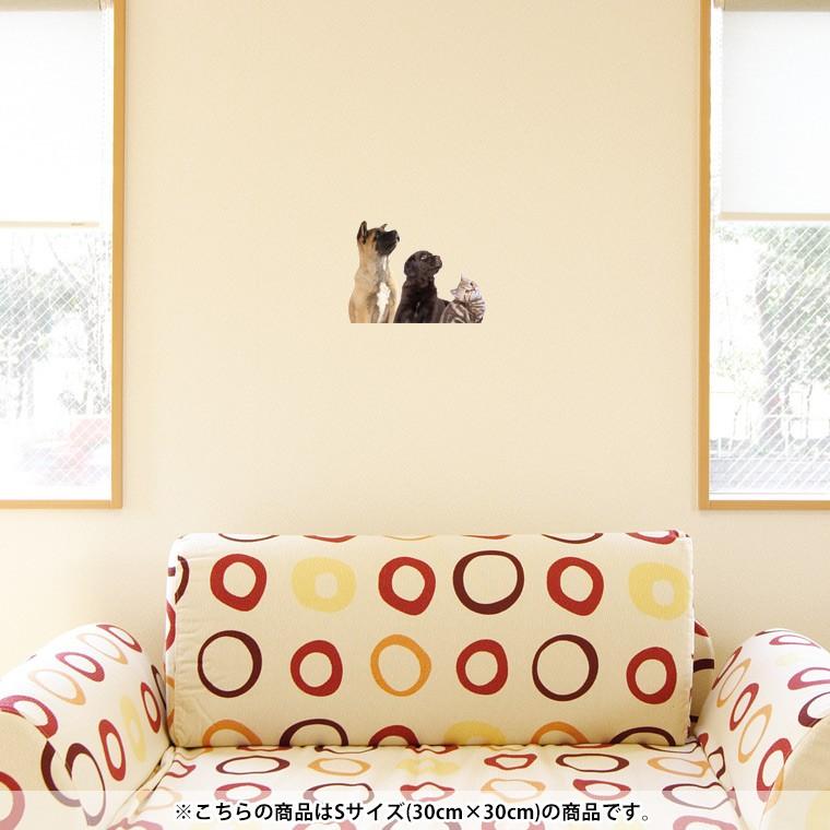 最大57 Offクーポン ウォールステッカー 飾り 30 30cm シール式 装飾 おしゃれ 壁紙 はがせる 剥がせる カッティングシート Wall Sticke 写真 犬 猫 0064 Pmajk Gov Pk