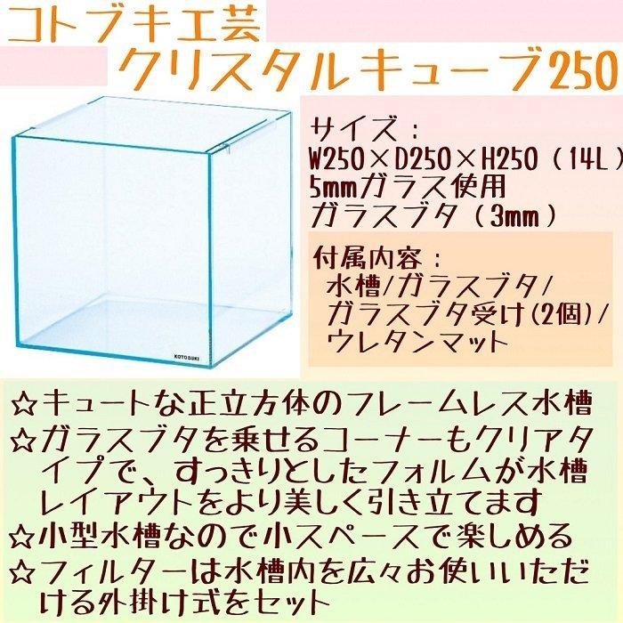 初心者用水槽セット コトブキ工芸 Kotobuki Emas Farms オリジナル水槽セット ６点セット 水草 レッドビーシュリンプ 熱帯魚 アクアリウム 初心者セット Aquaset001 エマスファームズ 通販 Yahoo ショッピング