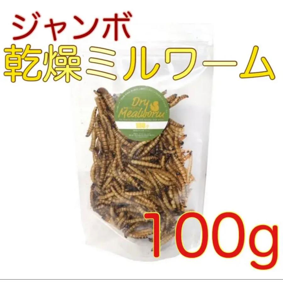 乾燥ジャイアントミルワーム 100ｇ Kansoumiru002 エマスファームズ 通販 Yahoo ショッピング