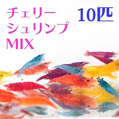 チェリーシュリンプ Mix おまかせ１０匹セット Sonicacts Com