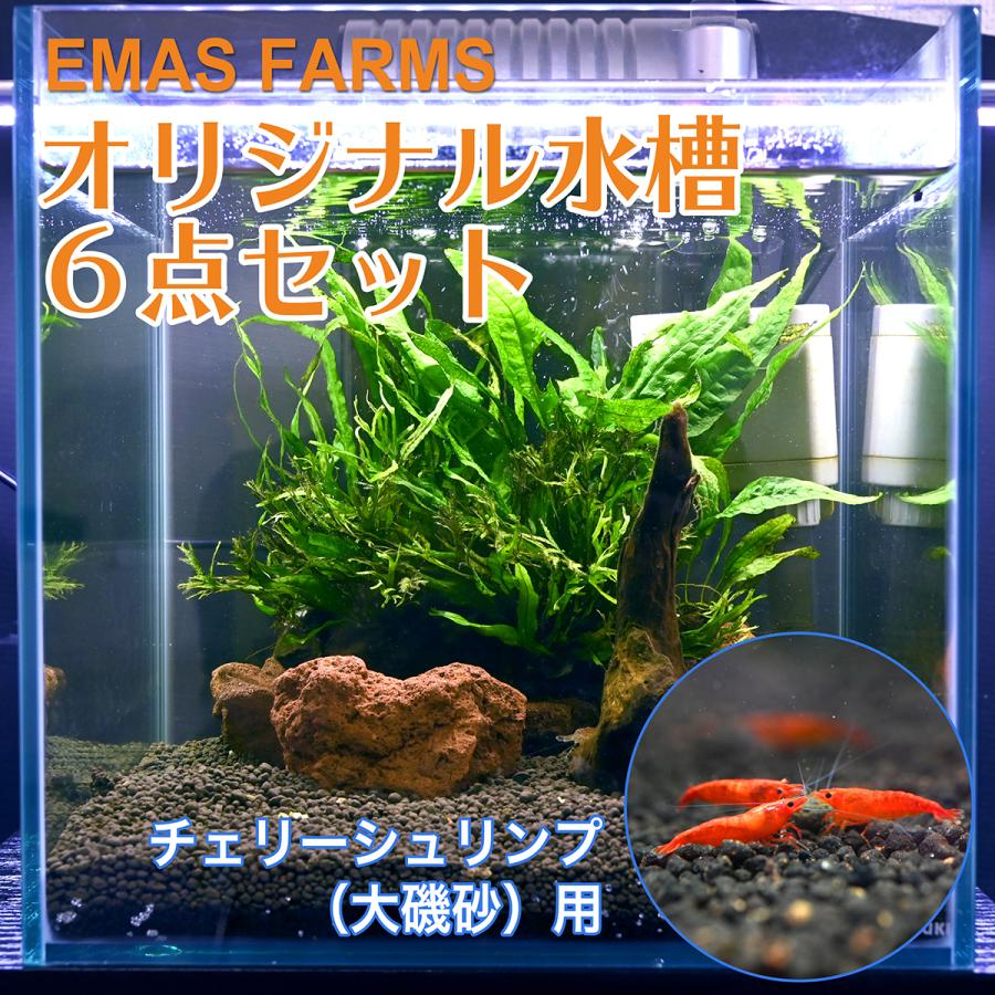 初心者用水槽セット エマスファームズ Emas Farms オリジナル水槽セット ６点セット コトブキ工芸 Kotobuki 水草 ビーシュリンプ 熱帯魚 アクアリウム Set 0001 エマスファームズ 通販 Yahoo ショッピング