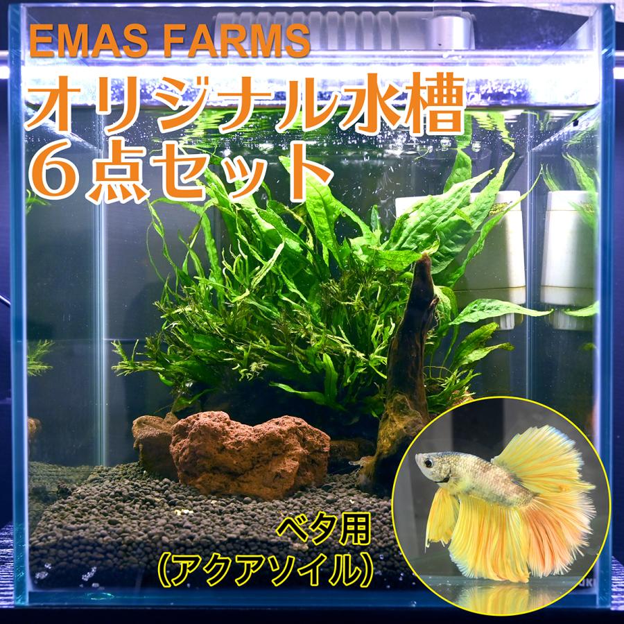 初心者用水槽セット エマスファームズ Emas Farms オリジナル水槽セット ６点セット コトブキ工芸 Kotobuki 水草 ベタ 熱帯魚 アクアリウム Set 0003 エマスファームズ 通販 Yahoo ショッピング