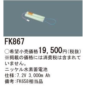 Panasonic パナソニック 誘導灯・非常照明器具用バッテリー 交換電池