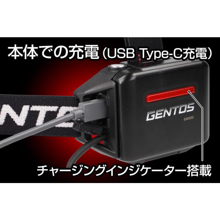GENTOS（ジェントス） GENTOS GH-201RG G201 ヘッドライトハイブリッド