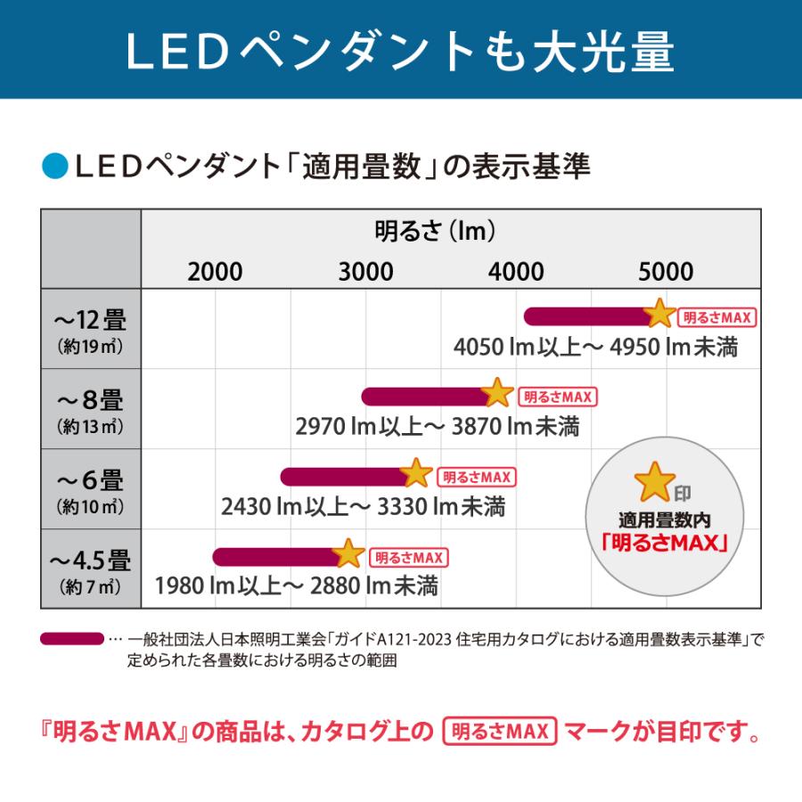 ホタルクス LED洋風ペンダント 〜6畳 HCDA0658-X : E-MASTERヤフー店
