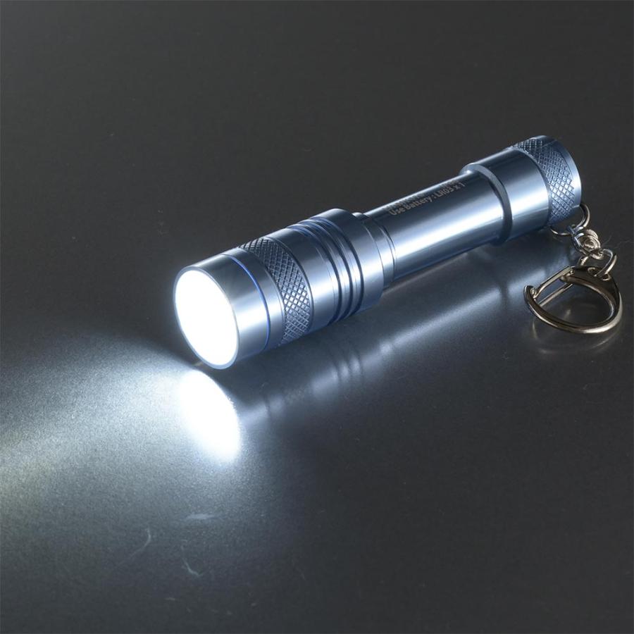 オーム電機 LEDミニライト ブルー LH-MY41-A2【品番:08-1005】 : E