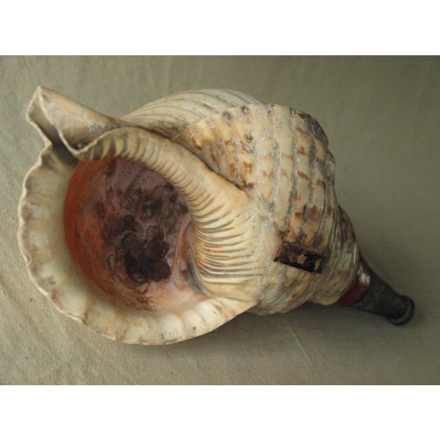 戦国時代 法螺貝38cm陣貝 ホラ貝 在銘 銅製吹口 漆塗 ホラガイ ラッパ 巻貝 ほらがい 貝標本 呼笛 山伏 戦初 仏教仏具 刀装具 19 1006 100 0001 Ema商店 通販 Yahoo ショッピング