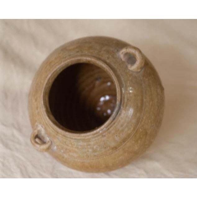 貴重 古越磁 晋代越州窯青磁二耳壺16.5cm 罐 中国古美術 古玩 貴重 古越磁 晋代越州窯青磁二耳壺16.5cm 罐 中国古美術 古玩