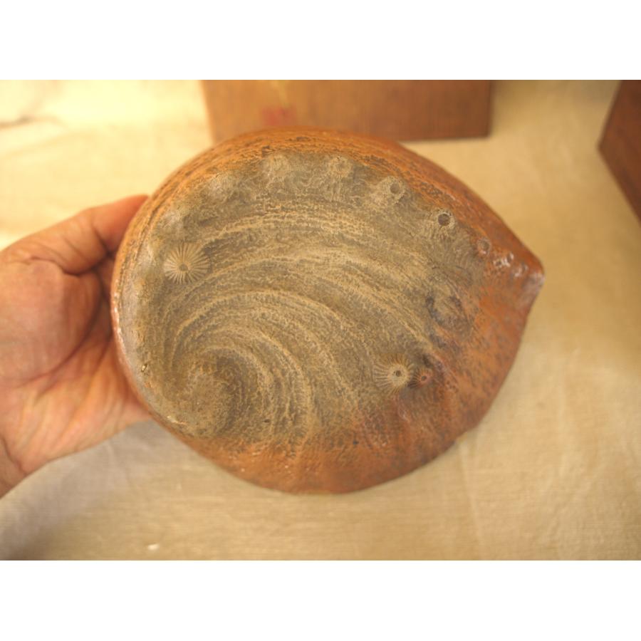 古伊万里 山水賢人図 古染付 鮑型菓子皿20ｃｍ刺身皿 変形皿 鍋島 平戸焼 【わん】 景徳鎮