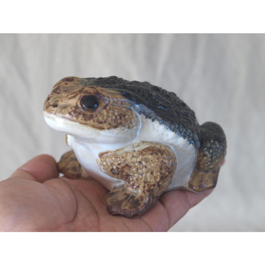 レア珍品 時代 リアル ヒキガエル12cm ガマガエル金運 財運 ラッキー