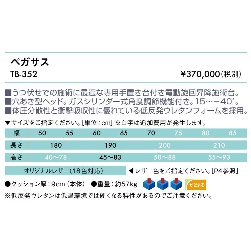 高田ベッド ペガサス TB-352 マッサージベッド 施術 整体 昇降 治療用 医療用 診察台 | 高田ベッド製作所 | 01