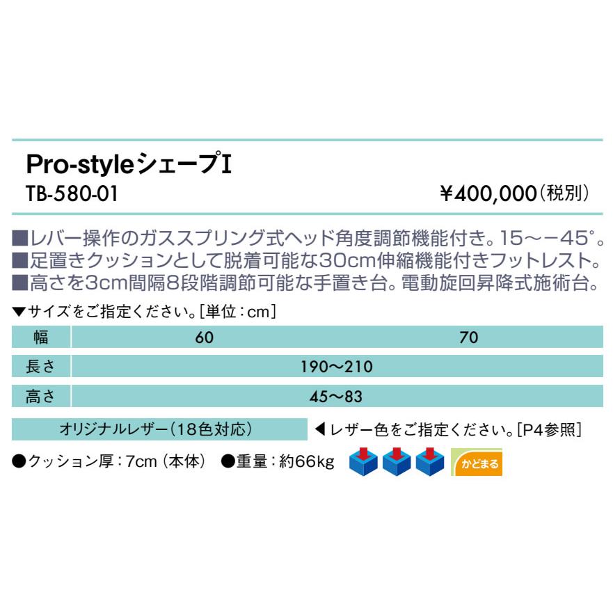 高田ベッド Pro-style シェープI TB-580-01 マッサージベッド 施術 整体 昇降 治療用 医療用 診察台｜embassyco｜02