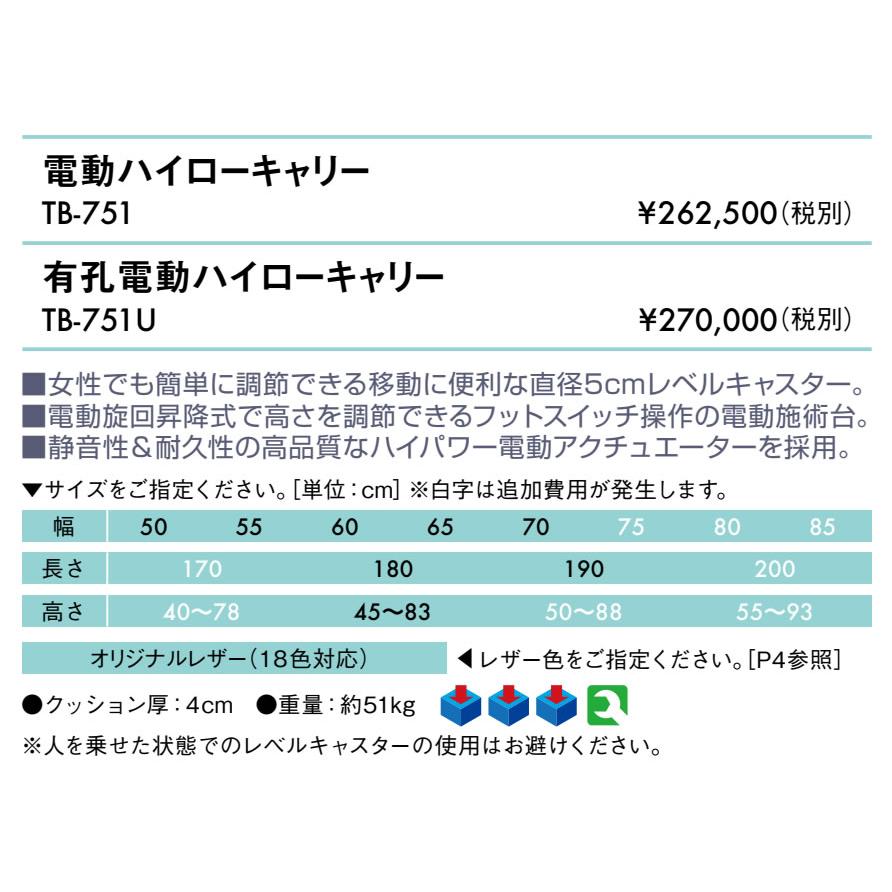 高田ベッド製作所 高田ベッド 無孔電動ハイローキャリー TB-751 レベル