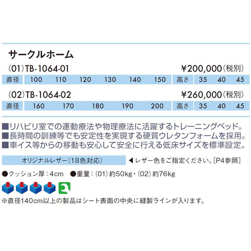 【限定品】 高田ベッド サークルホーム TB-1064-02 訓練台 リハビリベッド トレーニングベッド プラットホーム 施術台 治療台 【O2246068782】(78936円)