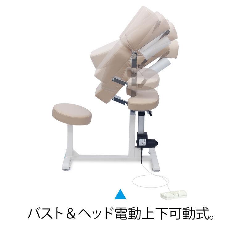 高田ベッド製作所 5月25日迄期間限定 高田ベッド 電動ラウンドチェアー