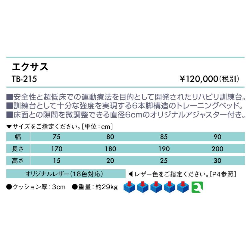 高田ベッド エクサス TB-215 訓練台 リハビリベッド トレーニングベッド プラットホーム 施術台 治療台_1