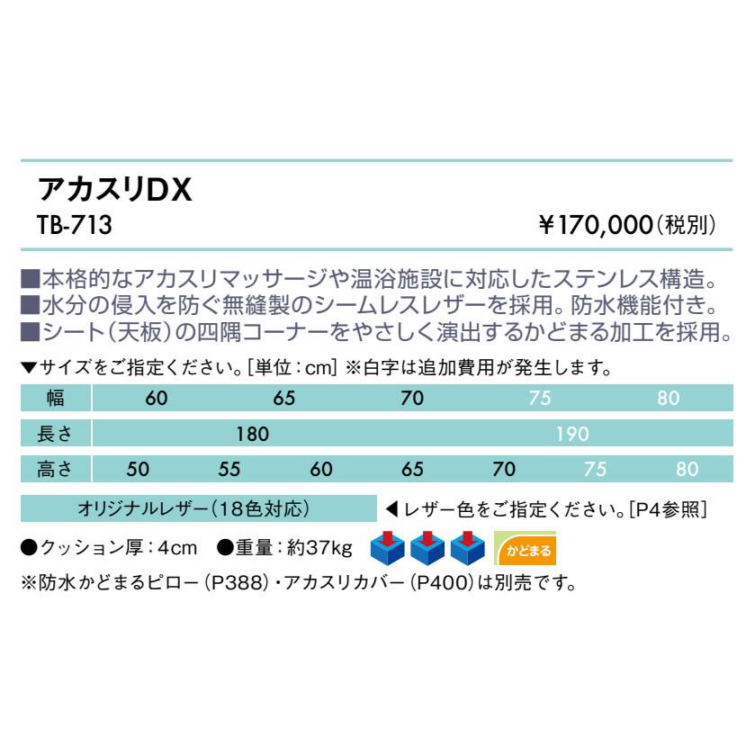 高田ベッド製作所 高田ベッド アカスリDX TB-713 防水機能 施術用