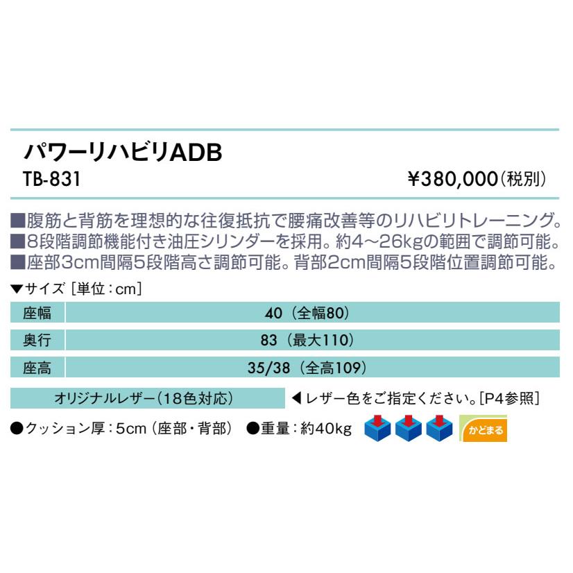 高田ベッド パワーリハビリADB TB-831 リハビリマシン パワー