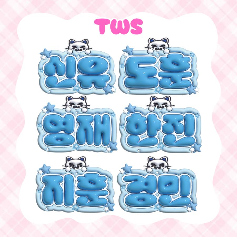 3Dぷっくりネームボード】TWS 3D ネームボード 応援グッズ kpop