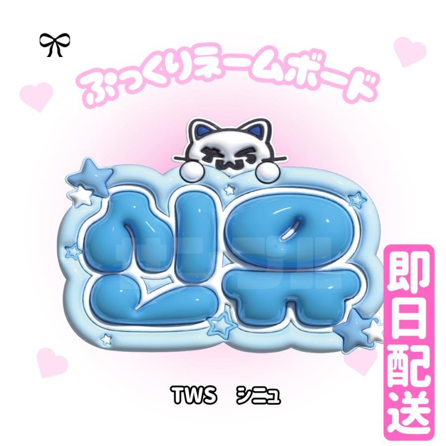 3Dぷっくりネームボード】TWS 3D ネームボード 応援グッズ kpop