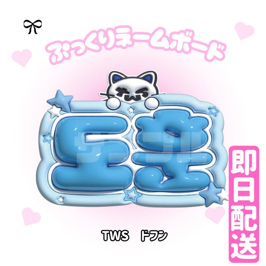 3Dぷっくりネームボード】TWS 3D ネームボード 応援グッズ kpop